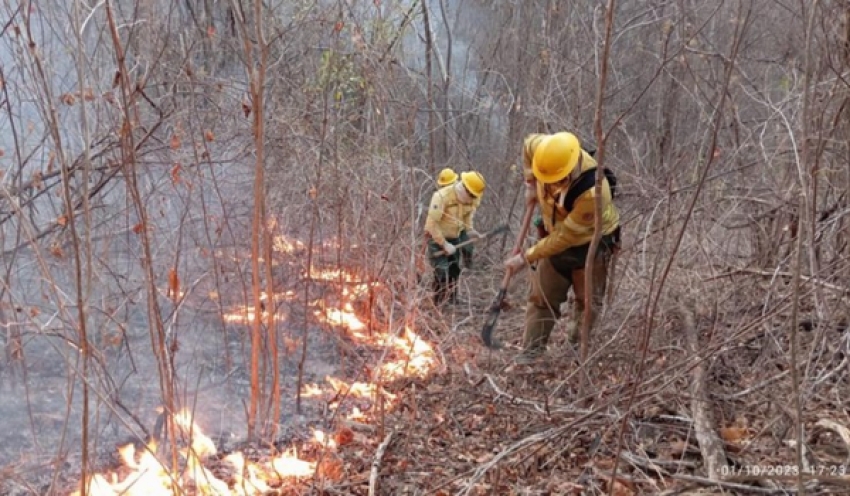 Governo federal declara emergência por risco de incêndios florestais na Paraíba