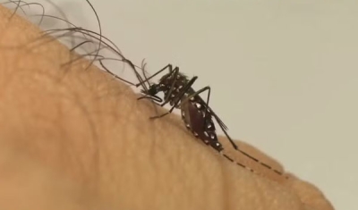 Mais de 50 cidades paraibanas não apresentam dados sobre casos de dengue, diz Saúde