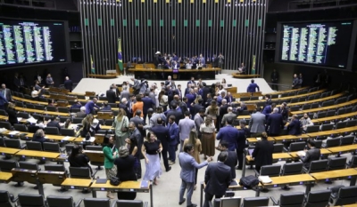 Câmara pode votar projeto que amplia remuneração de fiscais agropecuários que atuam contra gripe aviária