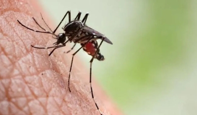 Saúde da Paraíba confirma primeira morte por chikungunya em 2024