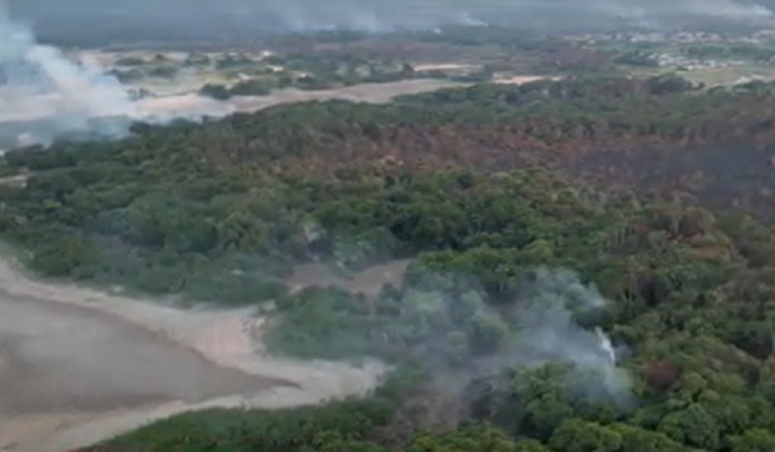 Brasil bate recorde de queimadas no primeiro semestre de 2024, diz estudo