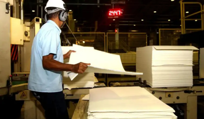 Produção florestal no país alcança recorde de R$ 47,9 bilhões em 2025