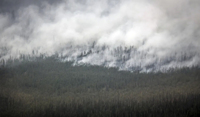 Incêndio florestal de larga escala atinge novamente o Canadá