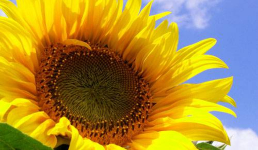 Mensagem do Dia - 28 de Abril de 2026