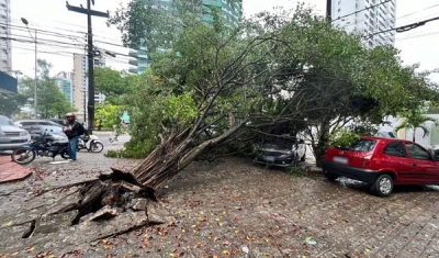 Ventania de 74 km/h derruba dezenas de árvores, interrompe energia, desvia voos e causa transtornos em João Pessoa