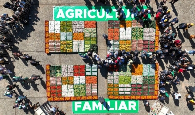 Programa de Aquisição de Alimentos é publicado no Diário Oficial