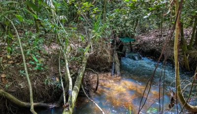 Estudo aponta impacto negativo de mudanças climáticas na agricultura