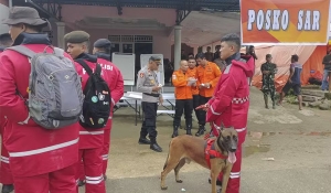 Deslizamento de terra mata 11 pessoas em mina ilegal de ouro na Indonésia; 19 estão desaparecidas