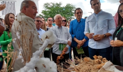 Apoio do Governo do Estado consolida produção de algodão orgânico na Paraíba