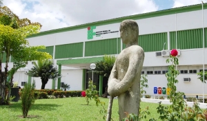IFPB divulga resultado final de processo seletivo para cursos superiores de graduação