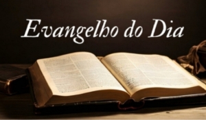 Evangelho do Dia - 17 de Janeiro de 2025