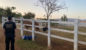 PF realiza operação contra grupo criminoso suspeito de lavagem de dinheiro em Cajazeiras, na PB