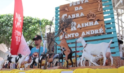 Festa da Cabra Rainha impulsiona economia e turismo no município de Santo André/PB