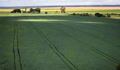 Agricultura vai querer voltar para mercado de carbono, diz Haddad