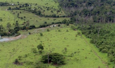 Aberto o prazo para entrega da Declaração do Imposto Territorial Rural