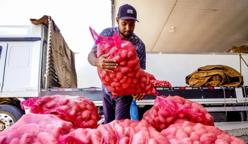 Conab aponta queda de preço da batata e alta da cebola e tomate