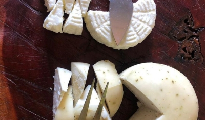 Queijo de cabra produzido na Paraíba é vencedor de concurso nacional em Santa Catarina