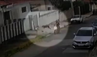 &#039;Cão policial&#039; morde suspeito e impede assalto a residência em João Pessoa