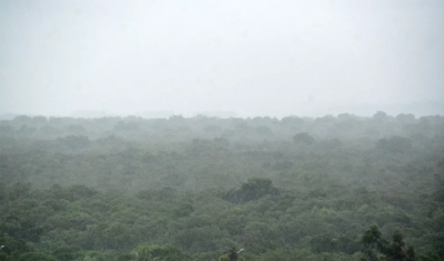 Chove em pelo menos 150 cidades da Paraíba no Dia de São José