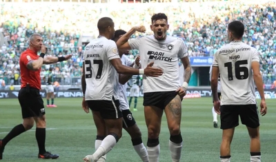 Botafogo vence, dispara na liderança e derruba o Palmeiras na tabela