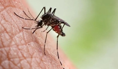 Paraíba registra 7.757 casos prováveis de dengue, chikungunya e zika em 2023