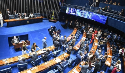 Senado pode votar na quinta política nacional de incentivo à produção de coco