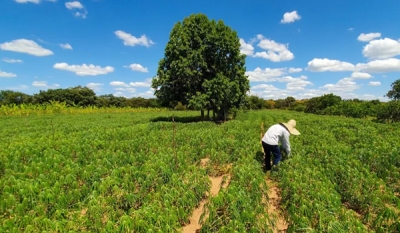 Paraíba vai receber investimento de R$ 817 milhões para agricultura familiar