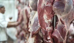 Exporta&ccedil;&otilde;es do agro crescem 11,7% e atingem recorde de US$ 16,65 bilh&otilde;es em abril