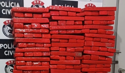 Polícia apreende cerca de 200 kg de maconha em Campina Grande