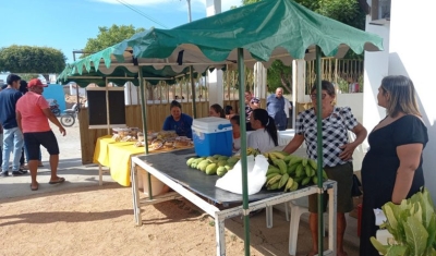 Agricultores familiares acessam políticas públicas em Jornada Paraíba Produtiva de Aparecida