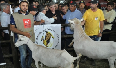 João Azevêdo visita 53ª Expapi em Campina Grande e destaca incentivo à agricultura familiar e ao agronegócio