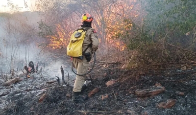 Incêndio atinge área de reserva do Parque Estadual de Santa Catarina, no Sertão da Paraíba