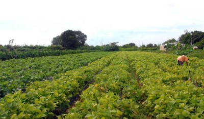 Incra define regras para assentamentos e inclusão na reforma agrária