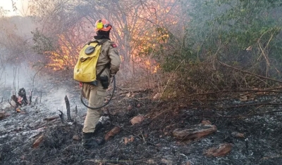 Incêndio no entorno de parque estadual no Sertão da PB completa sete dias e atinge 270 hectares