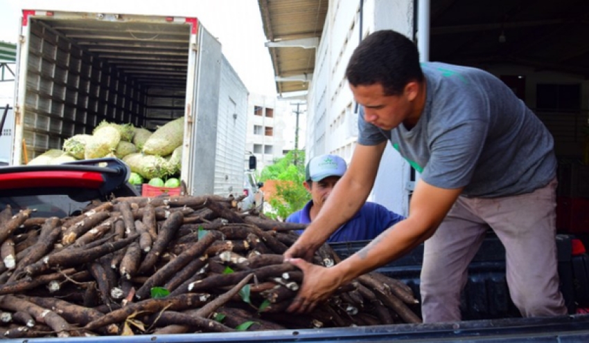 Governo compra 17,5 t de alimentos da agricultura familiar e atende pessoas em situação de insegurança alimentar