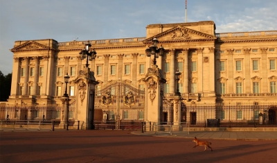 Homem é preso após invadir Estábulos Reais do Palácio de Buckingham, em Londres