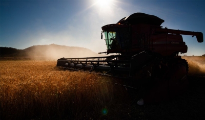 Governo faz ajustes em programas de concessão de crédito rural