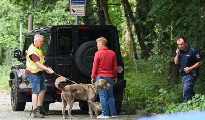 Polícia vasculha ruas, parques e bosques de Berlim após fuga de leoa