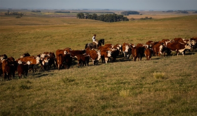 Produto Interno Bruto cresce 2,5% em fevereiro