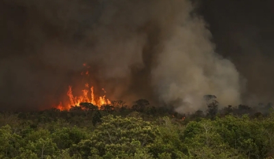 Incêndios podem ter afetado mais de 11 milhões de pessoas no Brasil