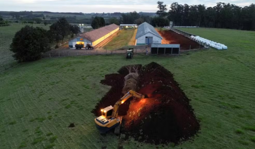 Brasil vai se declarar livre da gripe aviária nesta quarta, diz secretário do Ministério da Agricultura