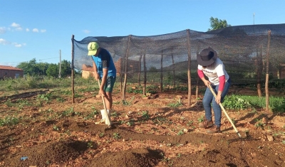 Trabalhadores pedem redução de juros para produzir alimentos no Brasil