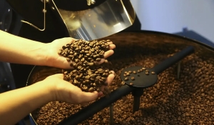 Brasil exporta 46 milhões de sacas de café, atingindo recorde em 2024