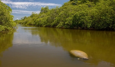 Adolescente de 13 anos morre afogado em Mamanguape, no Litoral Norte da Paraíba