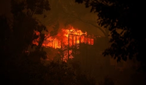 Incêndio florestal força retirada de pessoas em área nobre de Los Angeles