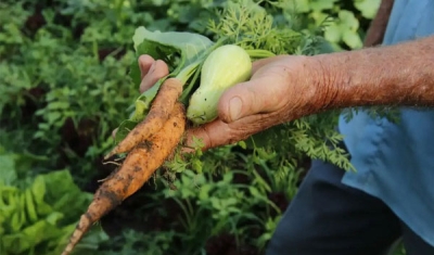 Primeiro projeto do ano garante alimentos da agricultura familiar na merenda escolar