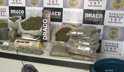 Maconha que pode ter sido roubada em cultivo legalizado de associação é apreendida, em Campina Grande