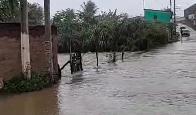 Campina Grande registra pontos de alagamento e queda de árvores após fortes chuvas