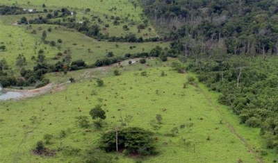 Termina nesta sexta entrega da Declaração do Imposto Territorial Rural