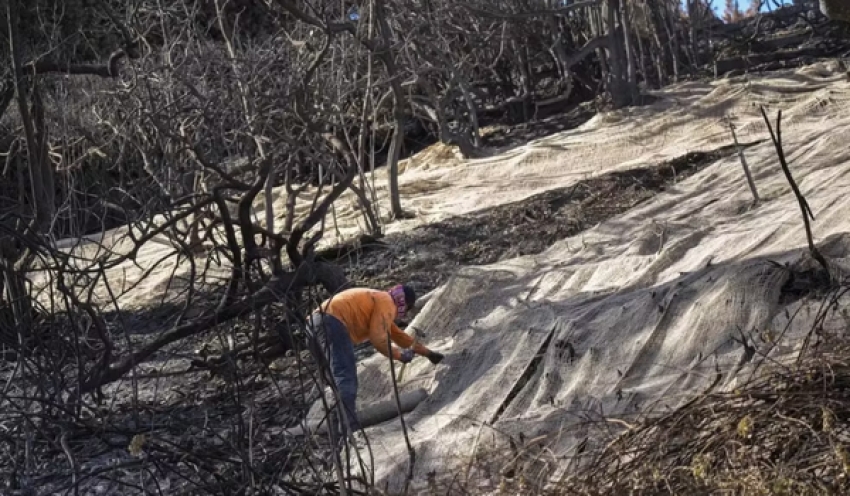 Incêndios em Los Angeles: chuva ajuda controle das chamas, mas escoamento de cinzas tóxicas preocupa